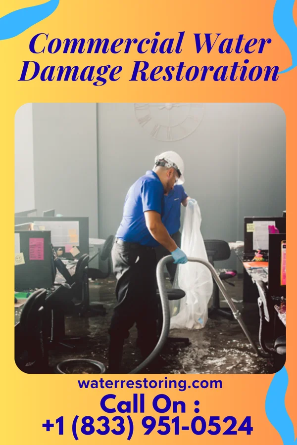 Commercial Water Damage Restoration in Balmorhea, TX