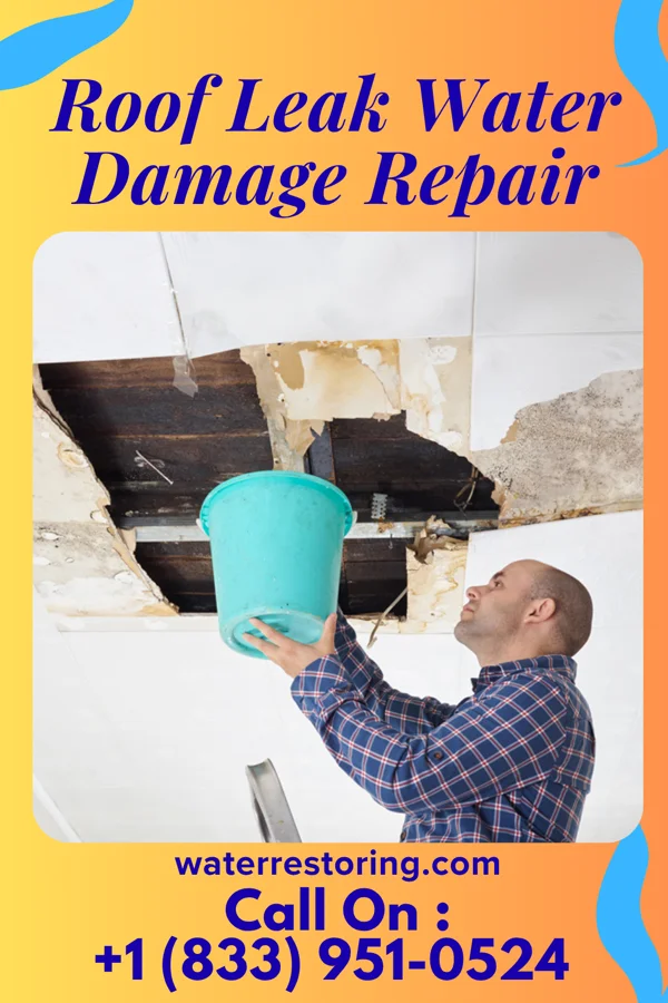 Roof Leak Water Damage Repair in Balmorhea, TX